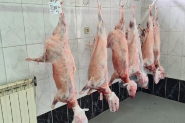 Au apărut la vânzare mieii pe piața din Suceava