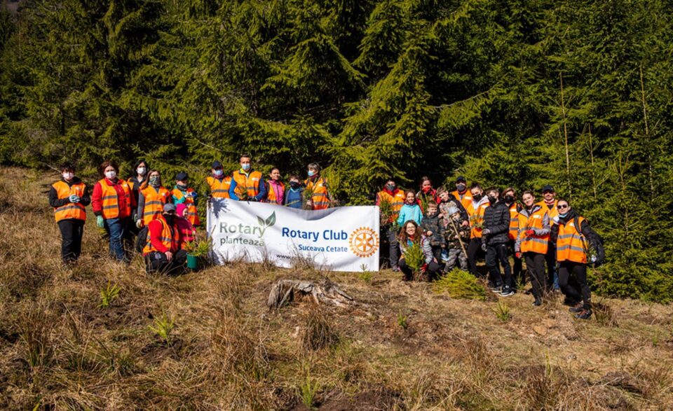 O viitoare pădure cu aproape 3000 de arbori de brad și molid a fost plantată cu voluntari și personal silvic la Ocolul Silvic Stulpicani