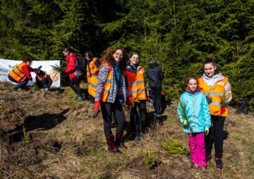 2.700 de puieți de molid și brad, plantați cu voluntari și personal silvic la OS Stulpicani