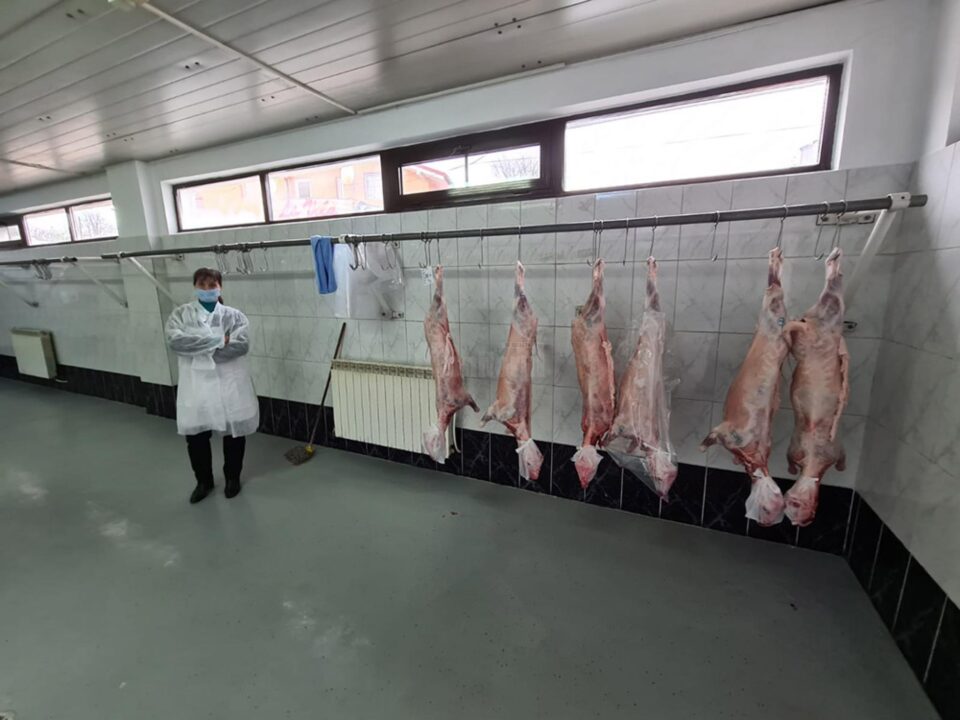 Au apărut la vânzare mieii pe piața din Suceava