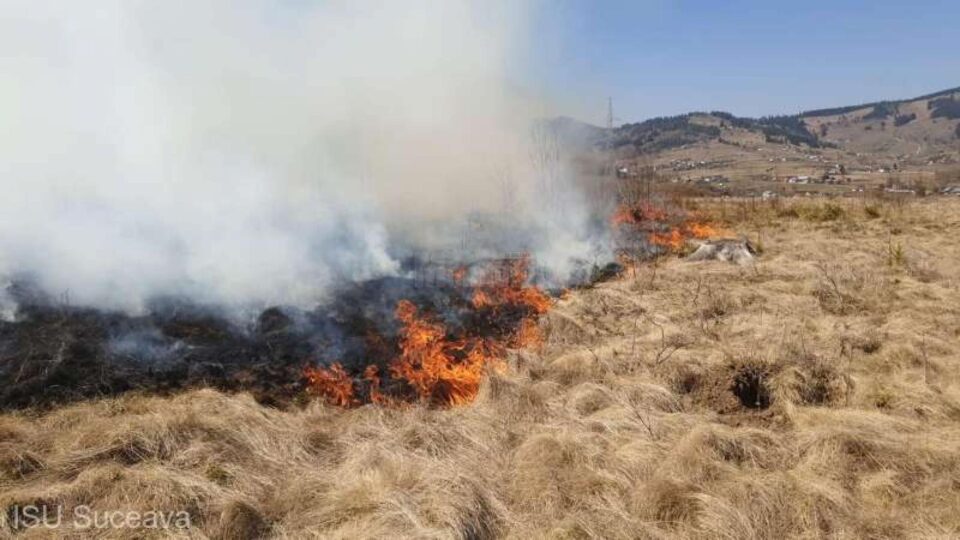 incendiu vegetatie