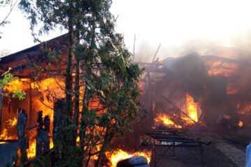 incendiu fratauti