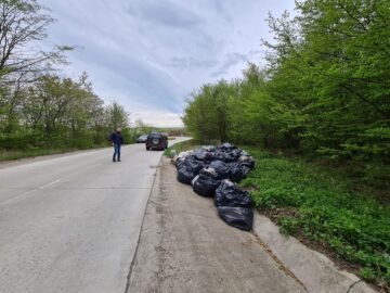 Munți de gunoaie au fost adunați din pădurea din zona drumului care leagă Adâncata de Fetești