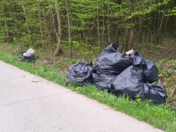 Munți de gunoaie au fost adunați din pădurea din zona drumului care leagă Adâncata de Fetești