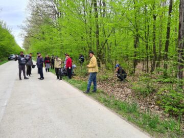 Munți de gunoaie au fost adunați din pădurea din zona drumului care leagă Adâncata de Fetești
