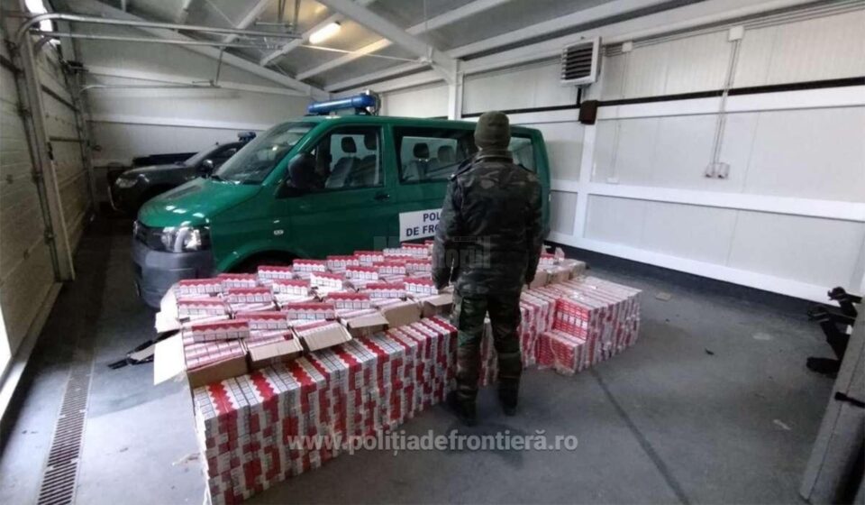 tigari contrabanda