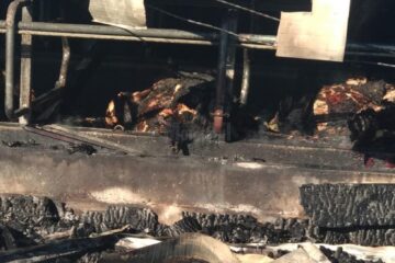 Peste 30 de vaci au ars de vii la o fermă din Bosanci. Primarul este asociat în afacere