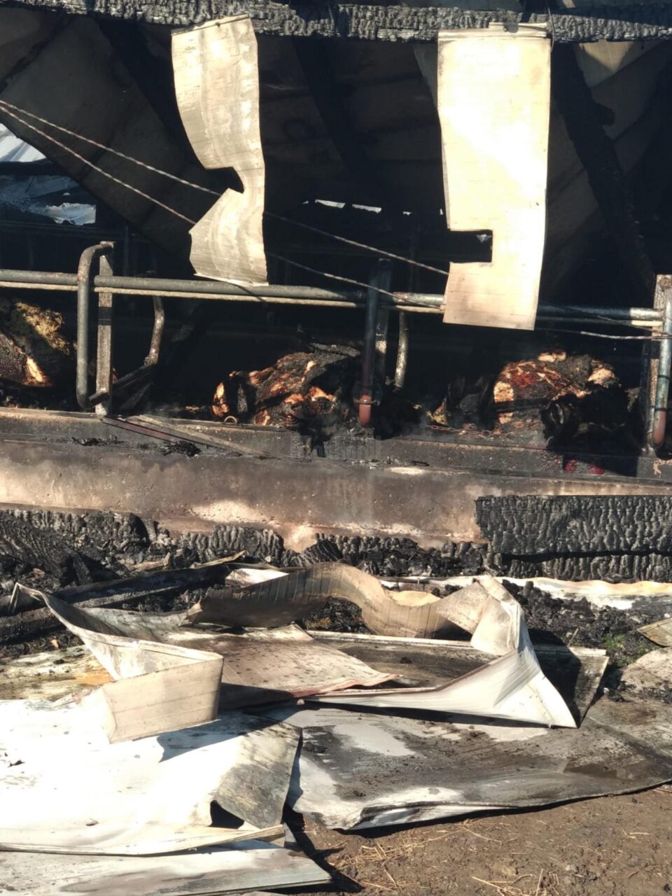 Incendiul de la ferma din Bosanci a pornit de la un balot de paie din exterior, aprins de o țigară Incendiul de la ferma din Bosanci a pornit de la un balot de paie din exterior, aprins de o țigară