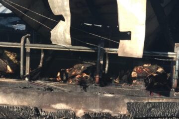 Incendiul de la ferma din Bosanci a pornit de la un balot de paie din exterior, aprins de o țigară