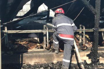 Incendiul de la ferma din Bosanci a pornit de la un balot de paie din exterior, aprins de o țigară
