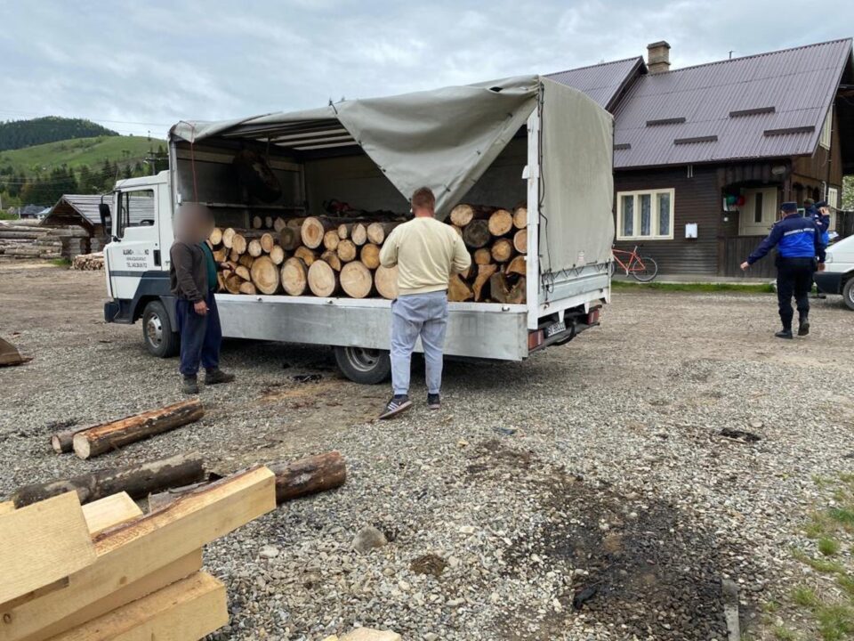 Tânăr prins de jandarmi cu o autoutilitară cu lemn fără acte