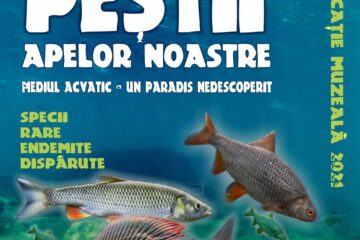„Mediul acvatic - un paradis nedescoperit. Peștii apelor noastre”, lecție de muzeu