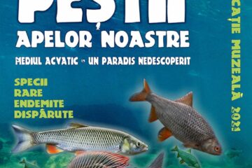„Mediul acvatic - un paradis nedescoperit. Peștii apelor noastre”, lecție de muzeu