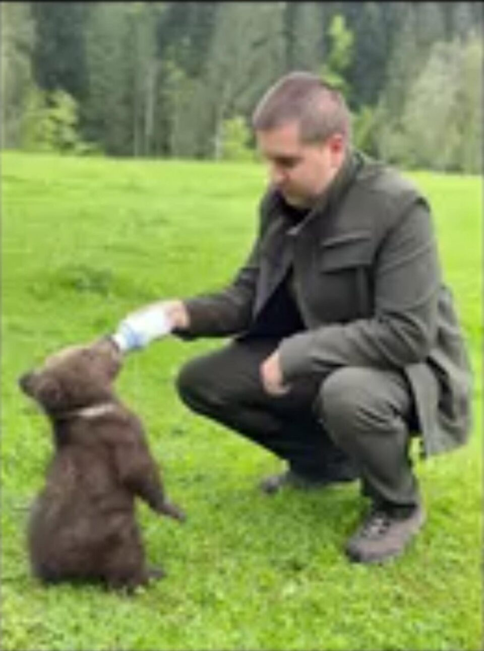 Un pui de urs de trei luni, abandonat de mamă, a fost găsit la Mălini