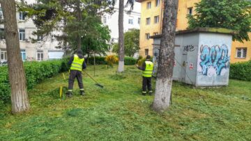 Activitatea de tuns-cosit a spațiilor verzi din municipiul Suceava continuă în perioada următoare, cu două echipe
