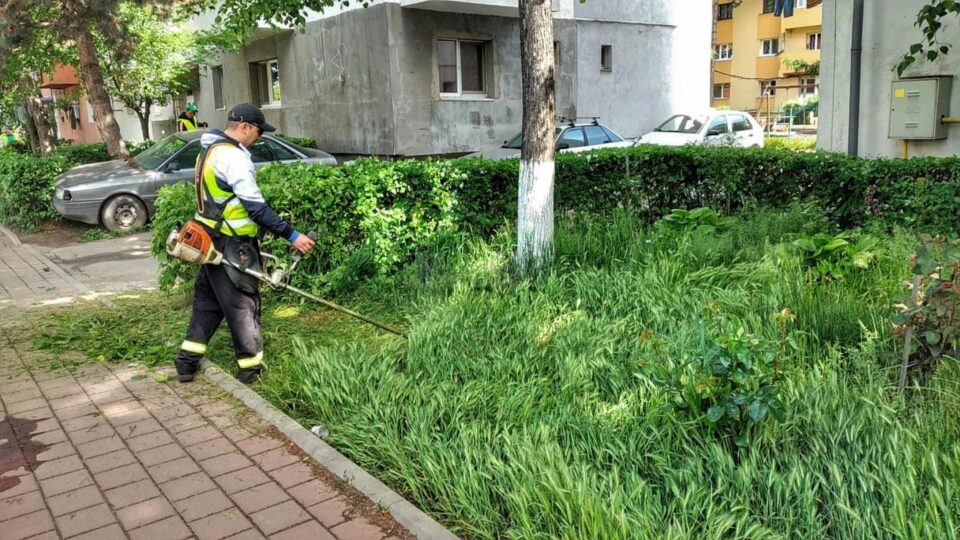 Activitatea de tuns-cosit a spațiilor verzi din municipiul Suceava continuă în perioada următoare, cu două echipe