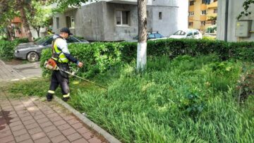 Activitatea de tuns-cosit a spațiilor verzi din municipiul Suceava continuă în perioada următoare, cu două echipe