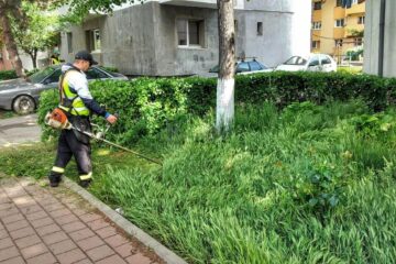 Activitatea de tuns-cosit a spațiilor verzi din municipiul Suceava continuă în perioada următoare, cu două echipe