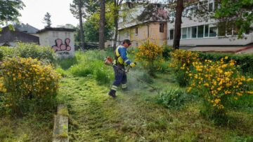 Activitatea de tuns-cosit a spațiilor verzi din municipiul Suceava continuă în perioada următoare, cu două echipe 1