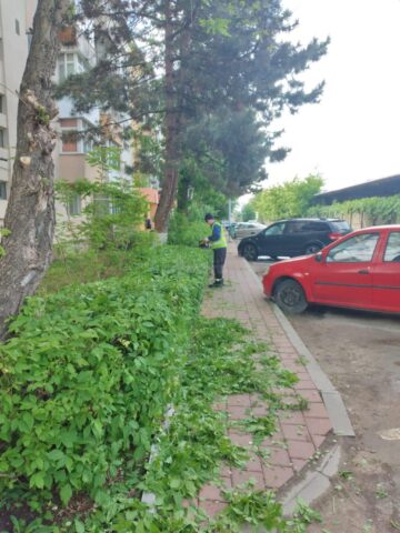 Activitatea de tuns-cosit a spațiilor verzi din municipiul Suceava continuă în perioada următoare, cu două echipe