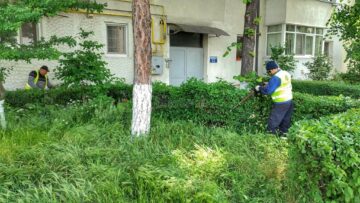 Activitatea de tuns-cosit a spațiilor verzi din municipiul Suceava continuă în perioada următoare, cu două echipe