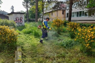 Programul acțiunilor de întreținere a spațiilor verzi, în municipiul Suceava