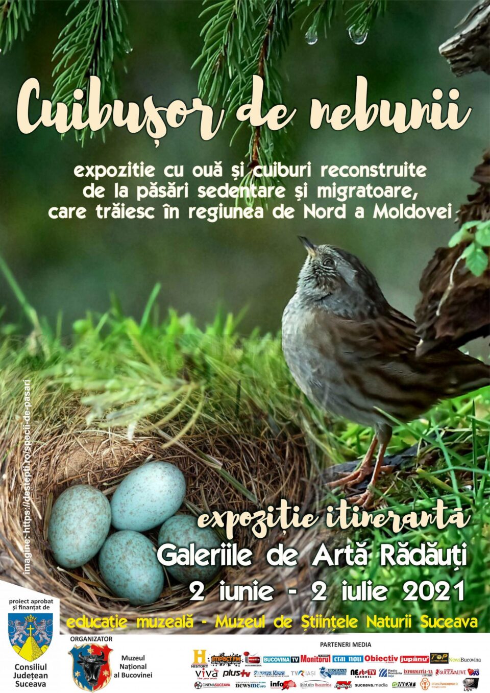 Expoziția itinerantă „Cuibușor de nebunii”, la Galeriile de Artă din Rădăuți