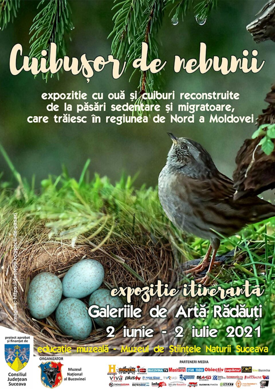 Expoziția itinerantă „Cuibușor de nebunii”, la Galeriile de Artă din Rădăuți