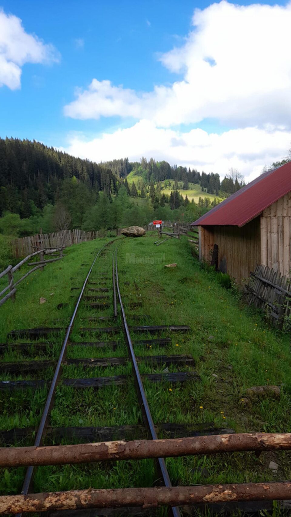Bolovanul pe șine