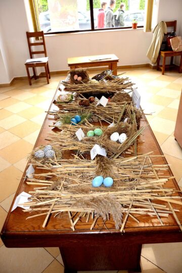 La Galeriile de Artă din Rădăuți a fost vernisată miercuri, 2 iunie, expoziția itinerantă „Cuibușor de nebunii”