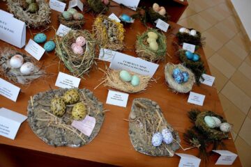 La Galeriile de Artă din Rădăuți a fost vernisată miercuri, 2 iunie, expoziția itinerantă „Cuibușor de nebunii”