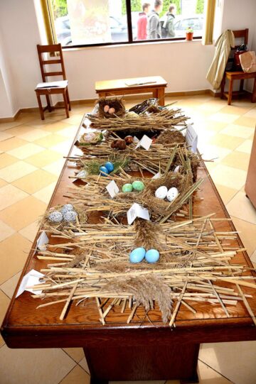 „Cuibușor de nebunii”, expoziție la Galeriile de Artă din Rădăuți