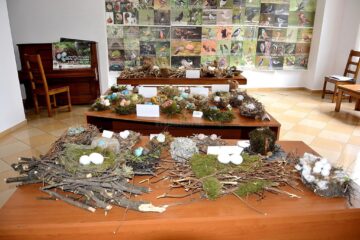 „Cuibușor de nebunii”, expoziție la Galeriile de Artă din Rădăuți