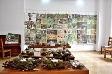 „Cuibușor de nebunii”, expoziție la Galeriile de Artă din Rădăuți