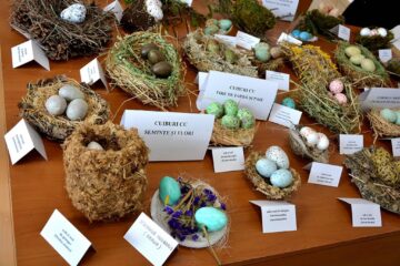 „Cuibușor de nebunii”, expoziție la Galeriile de Artă din Rădăuți