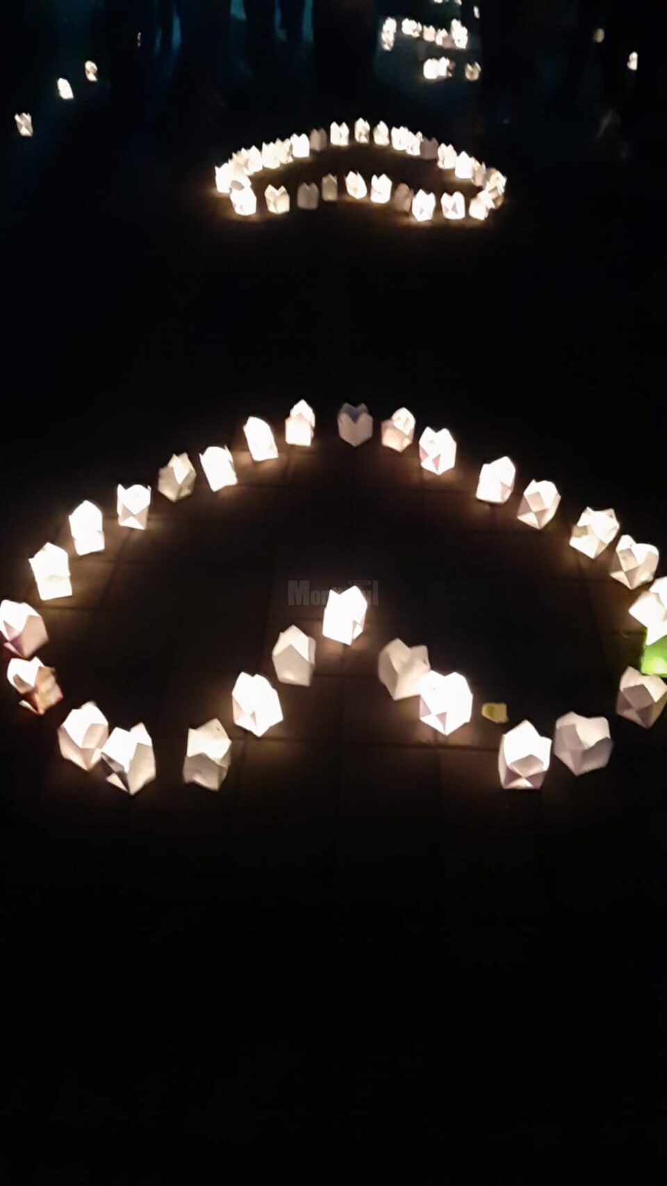 Festivalul Luminii, ediția a VIII-a