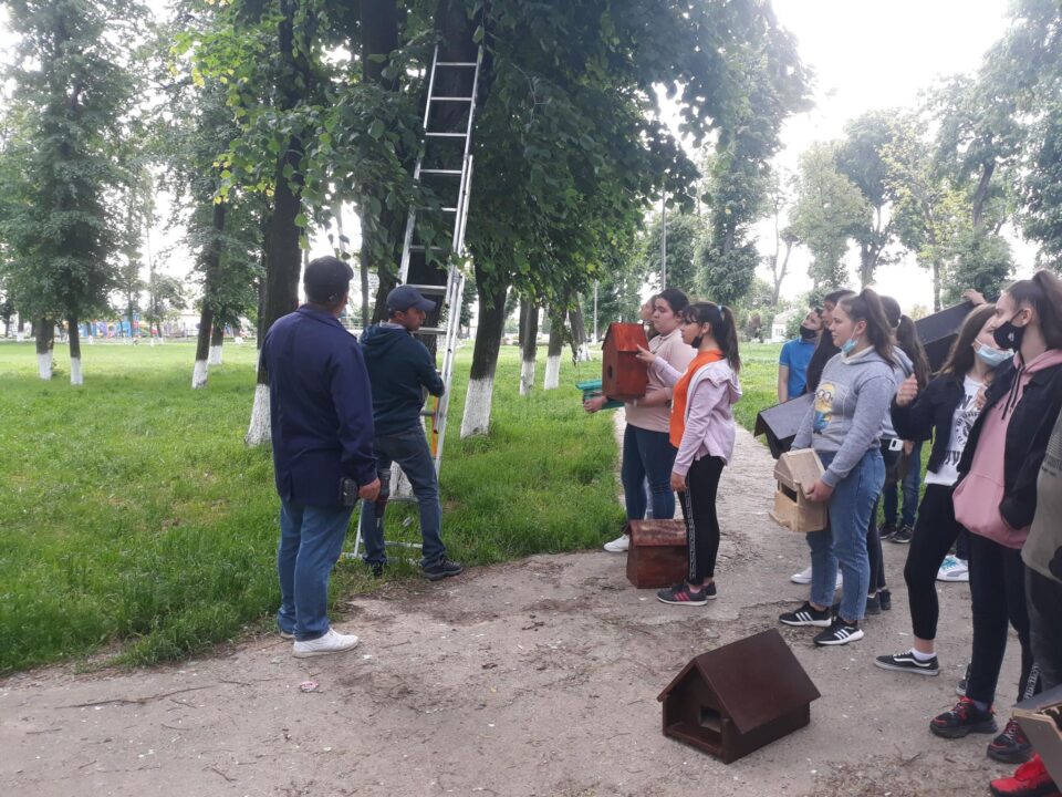 Activități de protejare a mediului înconjurător, la Liceul Tehnologic „Mihai Eminescu” Dumbrăveni