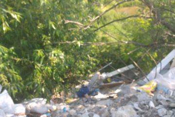 Primăria Șcheia, amendată pentru deșeuri abandonate pe câmp
