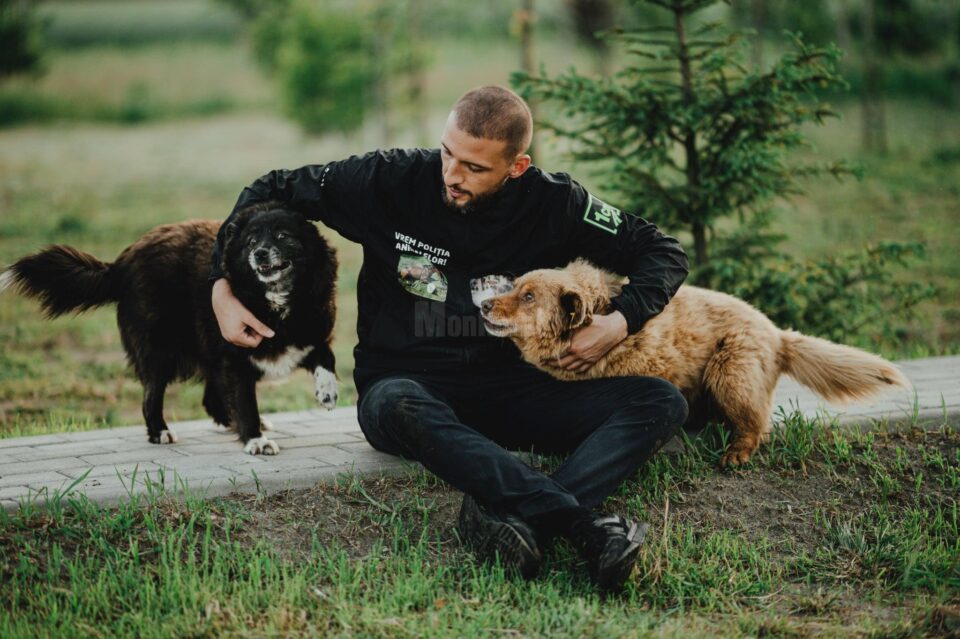 Ștefan Mandachi, apărător al drepturilor animalelor, a câștigat în instanță, în procesul intentat statului român Ștefan Mandachi, apărător al drepturilor animalelor, a câștigat în instanță, în procesul intentat statului român