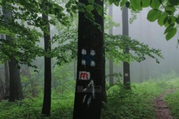 CJ Suceava a început marcarea traseului Via Mariae