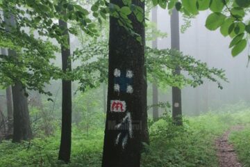 CJ Suceava a început marcarea traseului „Via Mariae”