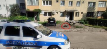 Zeci de lădițe, cauciucuri și alte materiale folosite pentru a rezerva locuri de parcare pe domeniul public, confiscate de Poliția Locală Suceava