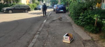 Zeci de lădițe, cauciucuri și alte materiale folosite pentru a rezerva locuri de parcare pe domeniul public, confiscate de Poliția Locală Suceava