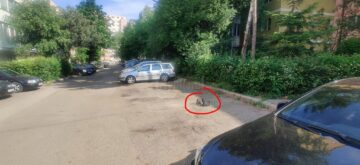 Zeci de lădițe, cauciucuri și alte materiale folosite pentru a rezerva locuri de parcare pe domeniul public, confiscate de Poliția Locală Suceava