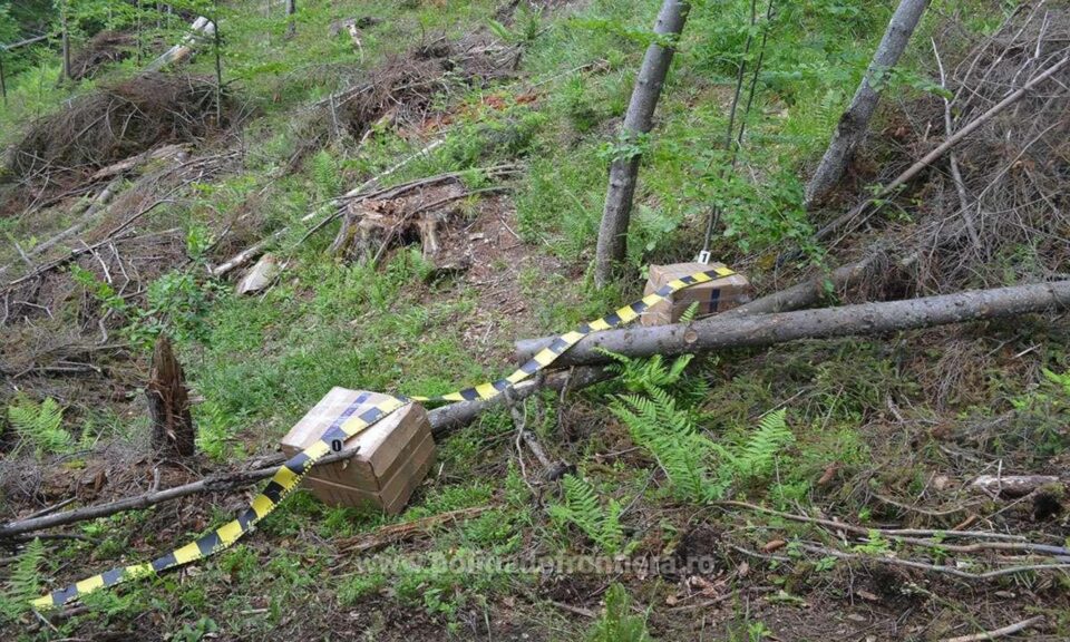 Aproape 10.000 de pachete de țigări de contrabandă, confiscate în doar cinci minute