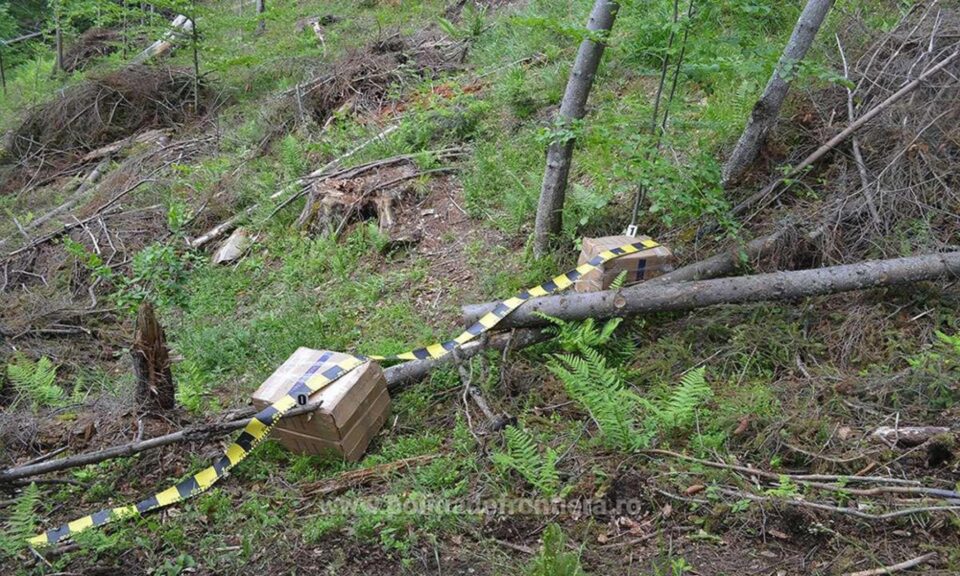 Țigările de contrabandă au fost confiscate