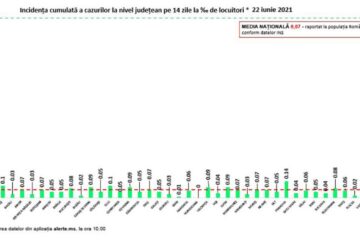 Incidența cazurilor