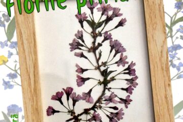 Expoziția “Florile primăverii”