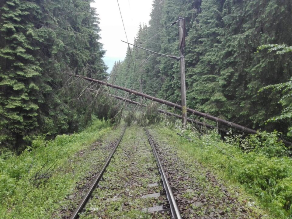 Copaci căzuți peste linia de contact sursa foto clubferoviar.ro