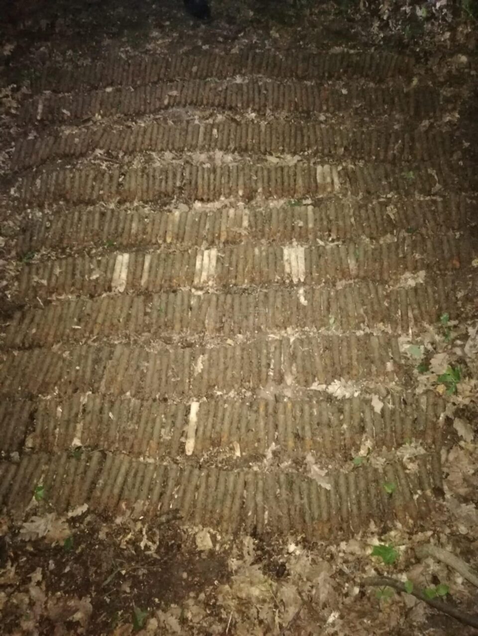 Muniția rusească abandonată la Siminicea